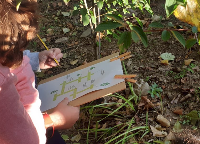 Interpretació del patrimoni natural amb una escola. Autor: Ajuntament de la Garriga
