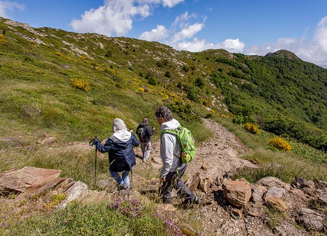 Primer tram de la ruta, entre Viladrau i Santa Fe. Autor: Turisme Montseny
