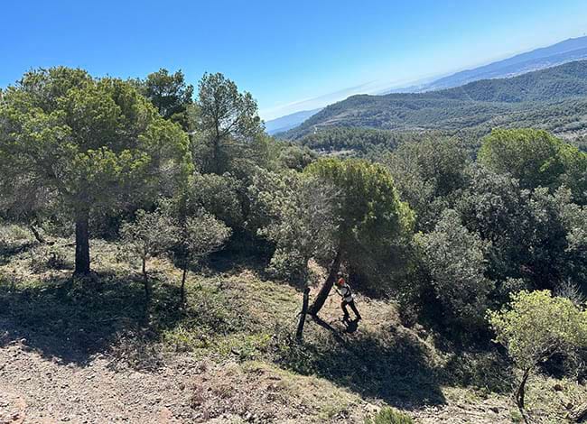 Execució de franja perimetral a l'Obac, al Parc Natural de Sant Llorenç del Munt i l'Obac. Autor: XPN