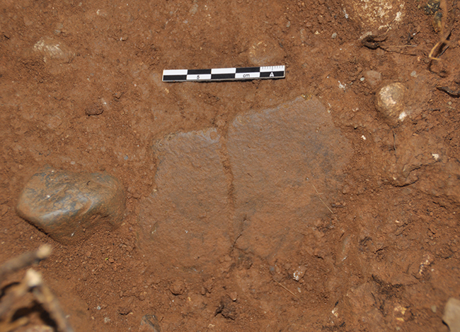 Fragment de ceràmica recuperat del nivell 203, corresponent a l'Edat del Bronze. Autoria: J.I. Morales