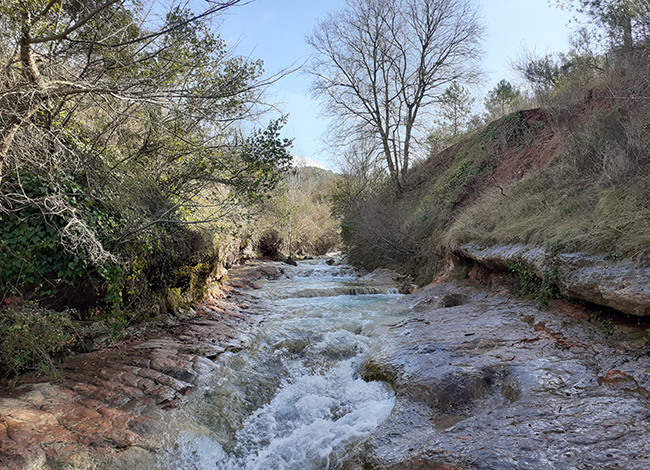 Riera de Nespres, a Mura. Autor: XPN