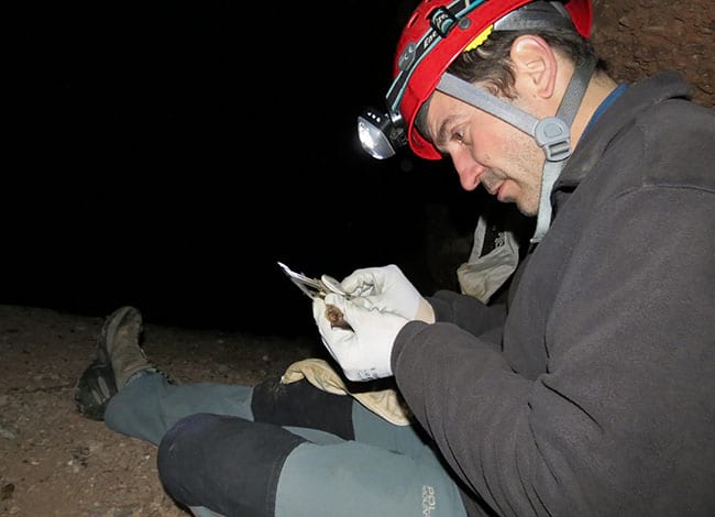 Observant els ratpenats de cova a l'avenc del Daví. Autor: Areambiental