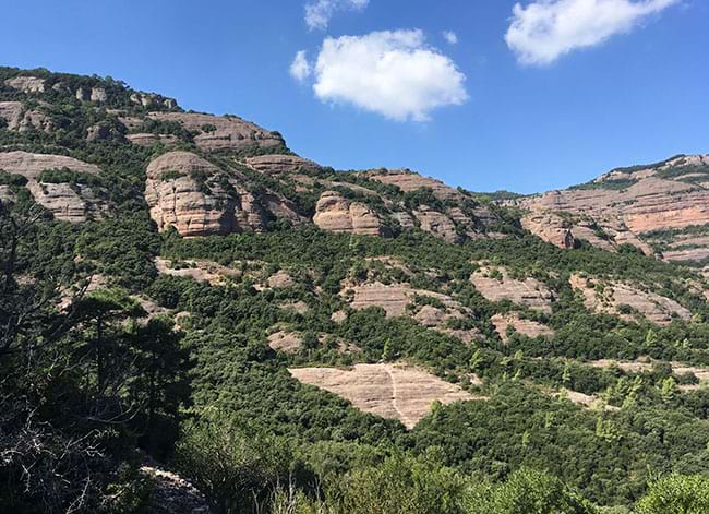 Paisatge del Parc. Autor: XPN