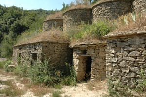 Tines de la vall del Flequer. Autor: XPN
