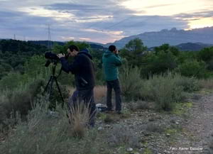 Cens rapinyaires. Autor: Xavier Escobar