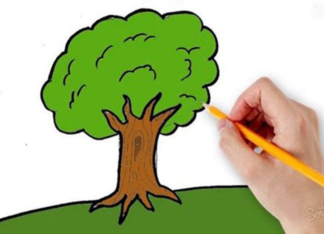 Arxiu Ajuntament Terrassa