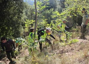 Voluntaris participants. Autor: Cercle Voluntaris