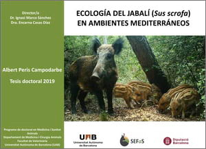 Portada de la tesi. Autor: Albert Peris