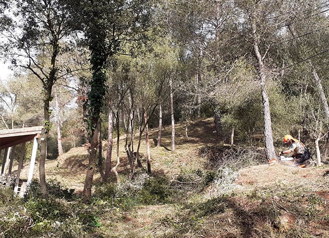 Els treballs forestals entorn de l'Àrea d'esplai de les Arenes.<br />Autor: XPN