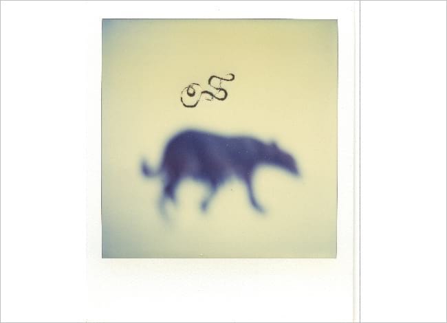 Polaroid d'Àngel Jové, un dels artistes presents a l'exposició 'Lo país de Maialussa, Alamús, Sidamun, Almatret, etcètera'