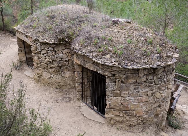 Tines de la vall de Flaquer abans de l'incendi de l'estiu passat. Autor: Xavier Renau / Diputació de Barcelona