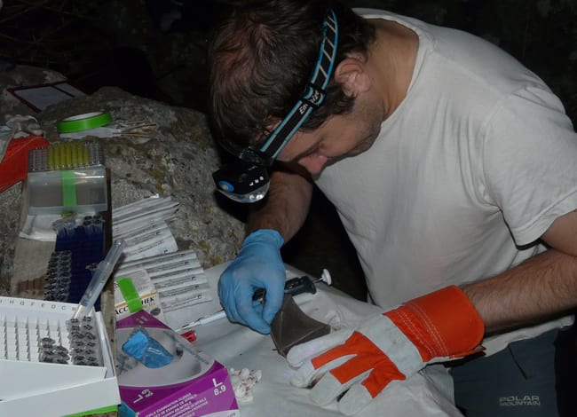 Exemple de seguiment nocturn de ratpenats. Autor: Jordi Serra-Cobo