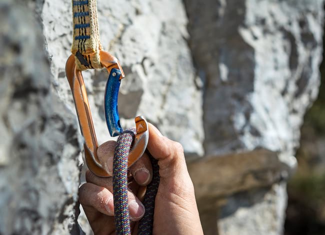 L'escalada es regula per protegir la nidificació de les aus en determinades zones. Autor: Shutterstock / ueuaphoto