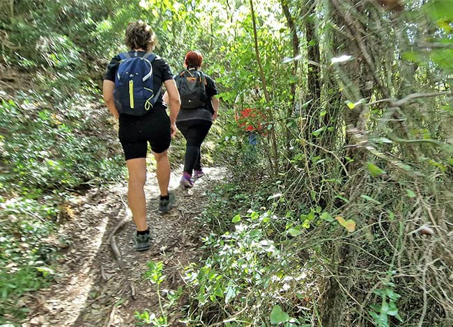 Participants a les Arenes. Autor: UAB