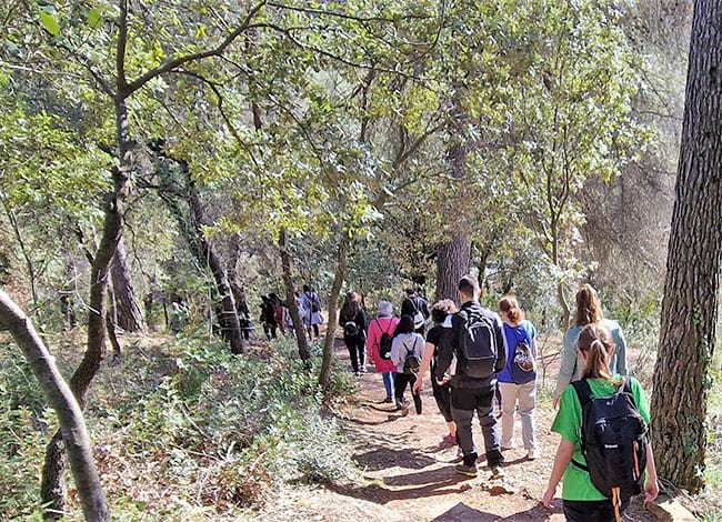 El Parc Natural manté la ruta de les Arenes. Autor: UAB