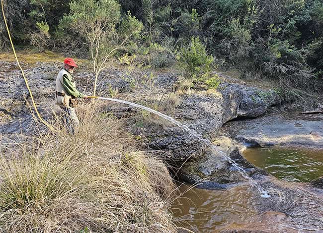 L'aportació d'aigua a la riera. Autor: SCCP