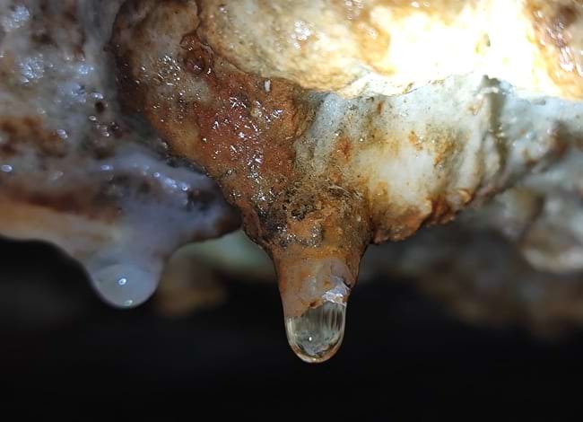 Detall de la Cova de Mura. Autora: Laia Miralta