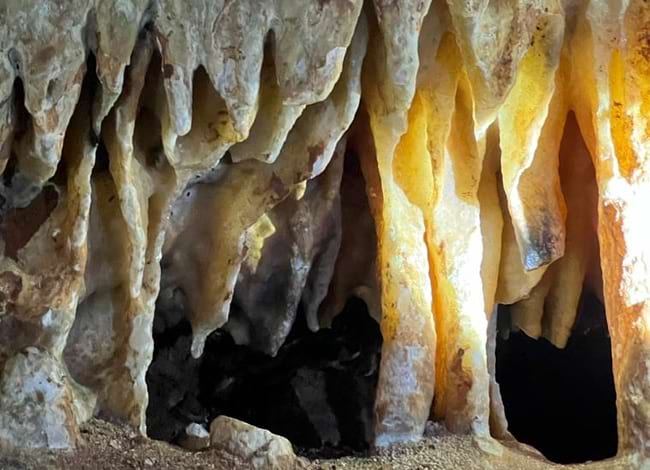 Detall de la Cova de Mura. Autora: Laia Miralta