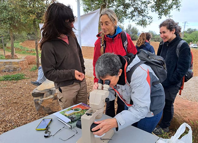 Mirant els líquens pel microscopi. Autor: ADENC