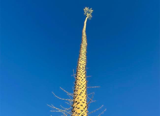 Fotografia de Gemma Nogueroles. Autora: Gemma Nogueroles