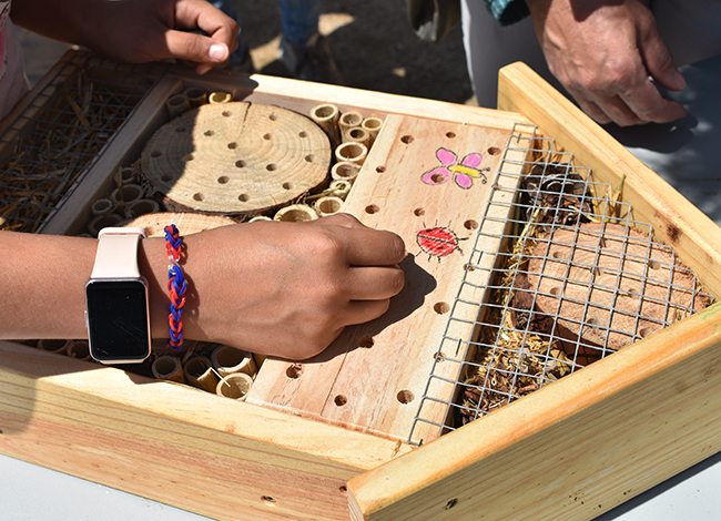Un dels hotels d'insectes que es van elaborar durant el taller. Autoria: Esteve Fernández