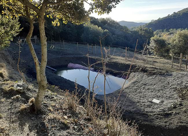 La nova bassa. Autor: XPN