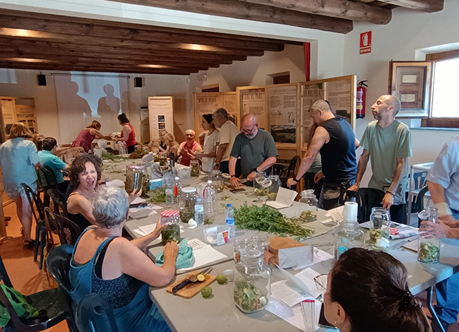 Participants al taller d'elaboració de ratafia. Autoria: Museu de la Pagesia de Fogars de la Selva