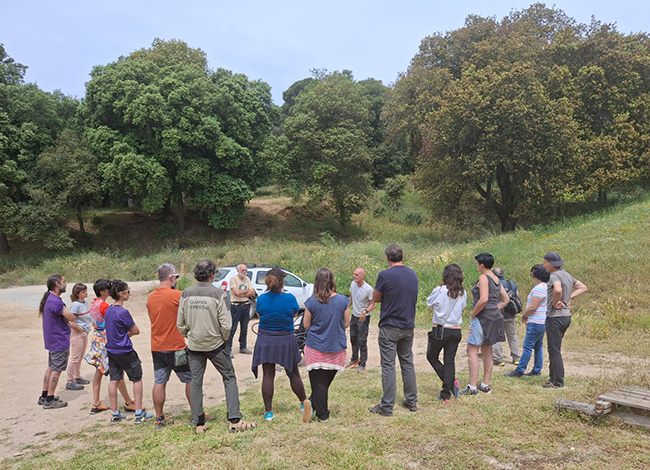Inici de la formació als entorns de Can Bosc, al Parc del Montnegre i el Corredor. Autoria: XPN