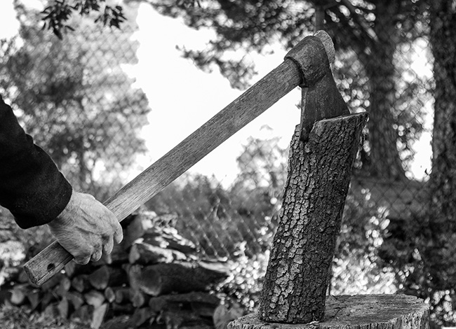 Fotografia guanyadora del tema 