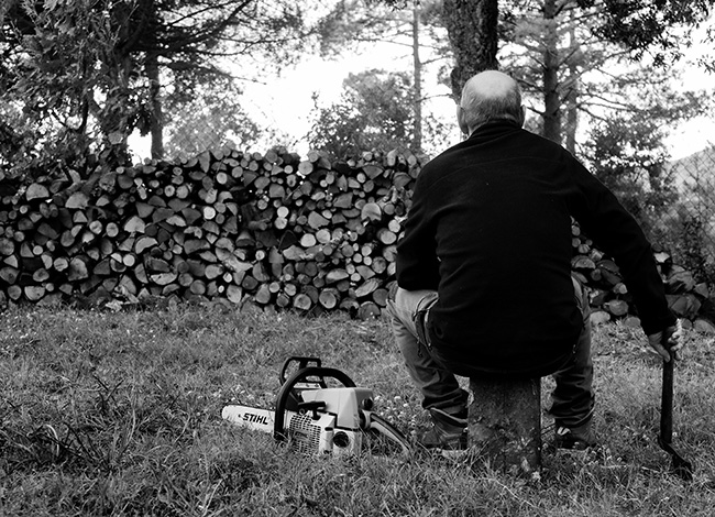 Fotografia guanyadora del tema 