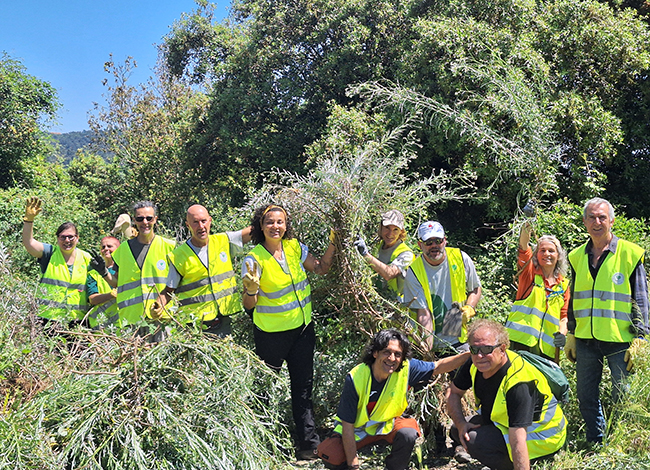 Fotografia de grup dels participants de l'actuació de voluntariat al Parc del Montnegre i el Corredor. Autoria: Cercle de Voluntaris dels Parcs Naturals