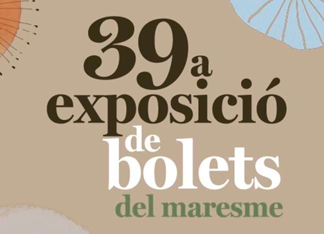 Imatge gràfica de la 39a Exposició de Bolets del Maresme. Autor: Can Boet