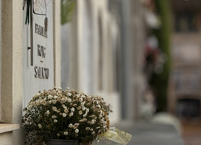 Fotografia guanyadora del tema 