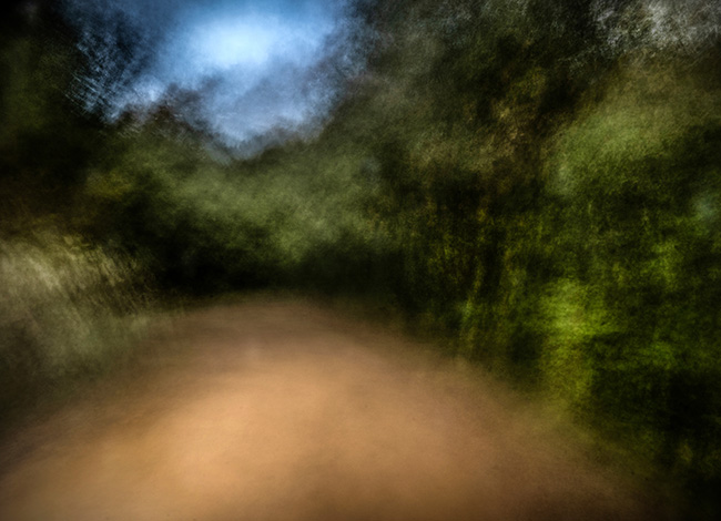 Fotografia guanyadora del tema 