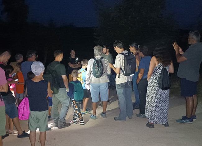 Sortida nocturna per buscar ratpenats. Autor: Museu de la Pagesia de Fogars de la Selva