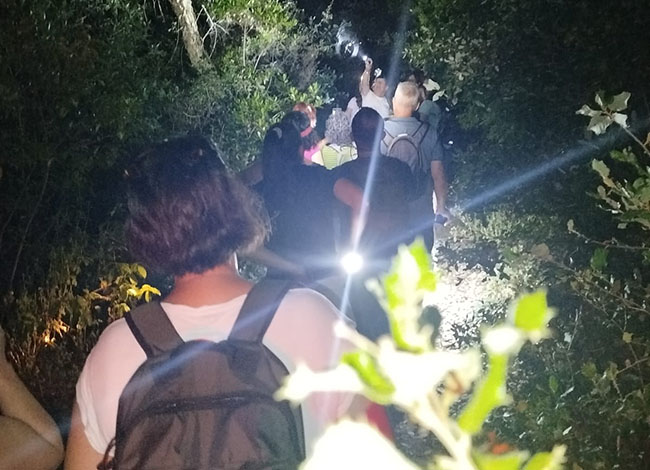 Passejada un cop va caure la nit. Autoria: Consuelo García Parra