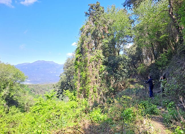 El programa SEGRE al Parc del Montnegre i el Corredor. Autor: XPN