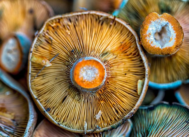 Fotografia premiada en la categoria de