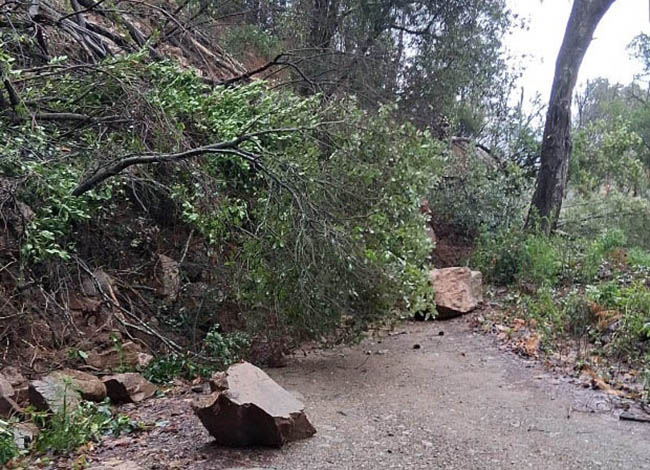 Una esllavissada al Parc del Montnegre i el Corredor. © XPN