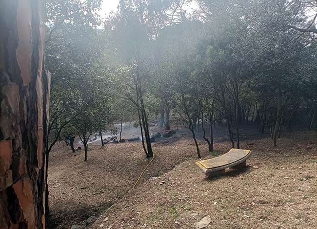 Incendi a Dosrius, fora de l'àmbit del Parc del Montnegre i el Corredor. Autor: XPN