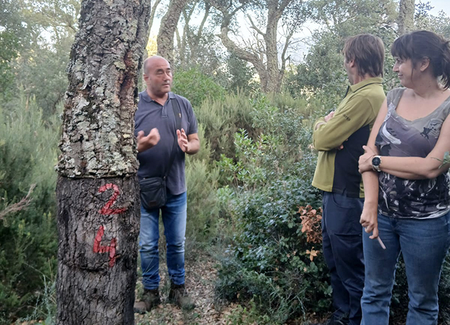 Visita a la finca de Can Bonamusa. Autor: XPN