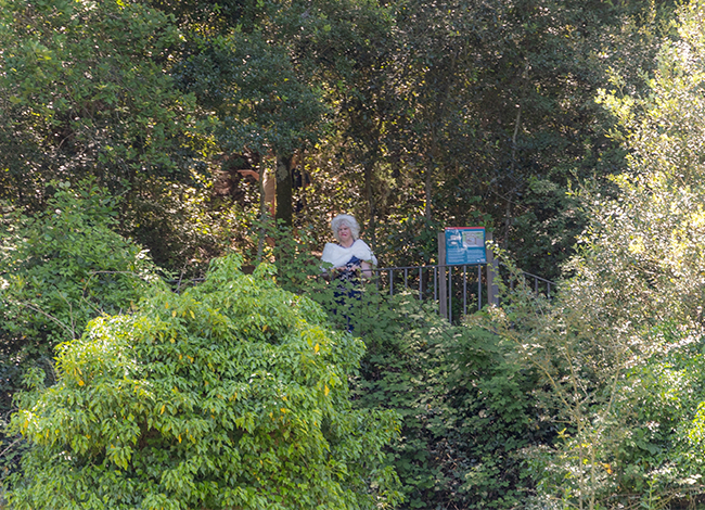 La cantant d'òpera, al pou de glaç de can Bosc. © Artur Ribera / Diputació de Barcelona