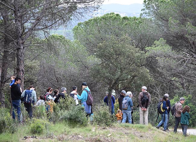 La sortida de camp. Autor: Museu de la Pagesia de Fogars de la Selva