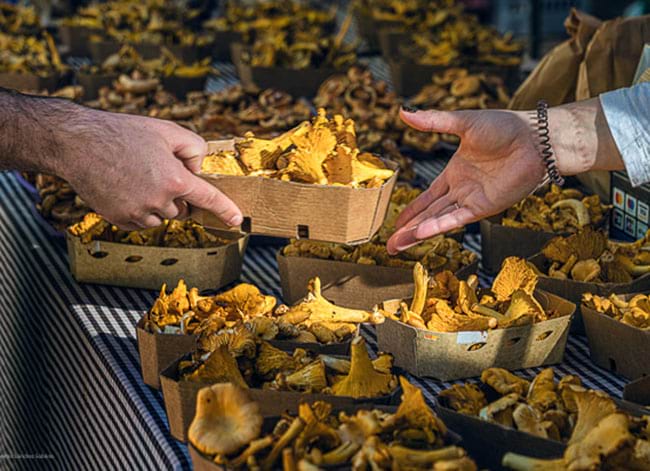 Premi tema Comerç. Autor: Guillermo Sánchez