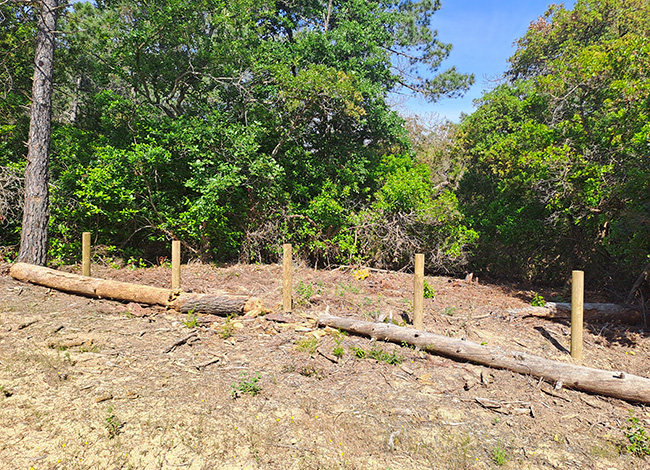 Les estaques per protegir les plantes. Autor: XPN