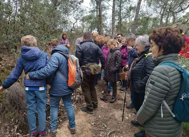 Van trobar bolets molt adaptats a la sequera. Autor: Museu de la Pagesia de Fogars de la Selva
