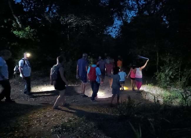 Els participants portaven llanternes. Autor: Museu Pagesia