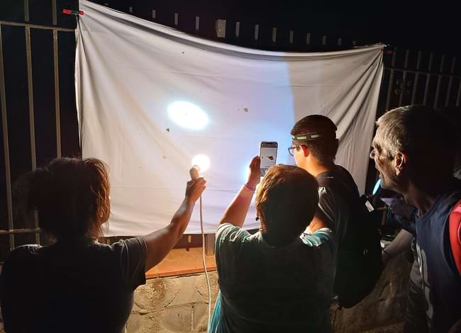 La llum damunt d'un llençol blanc va atreure tot d'insectes. Autor: Museu Pagesia