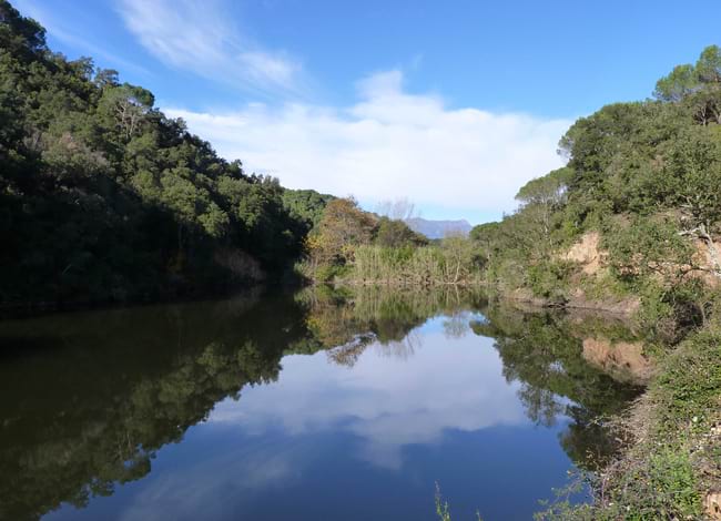 La riera de Fuirosos, protagonista d'una de les passejades. Autor: Roger Porta