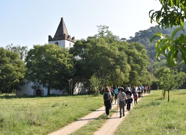 Passejada per descobrir la vall de Ramió, a Fogars de la Selva. Autor: Esteve Fernández